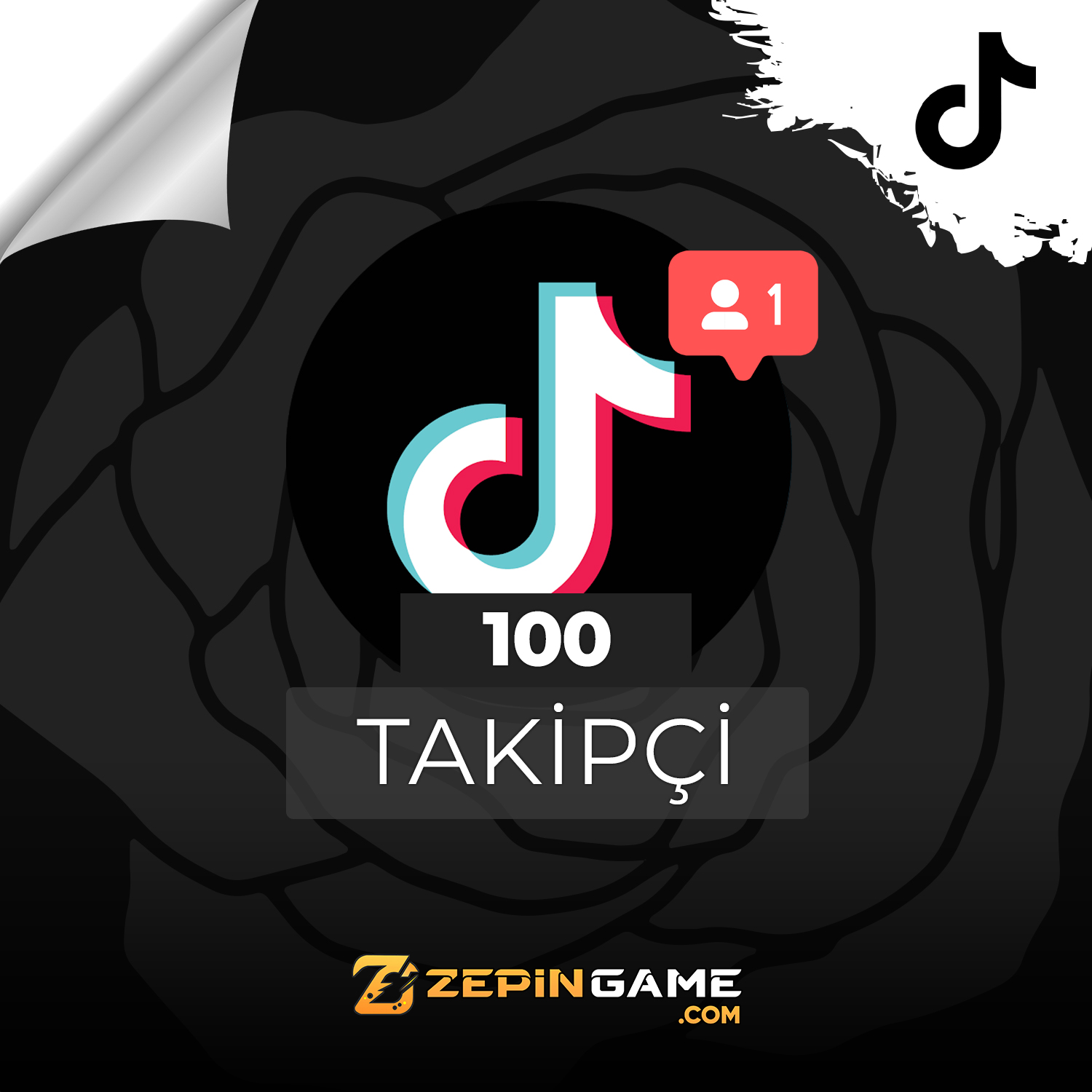 100 Takipci