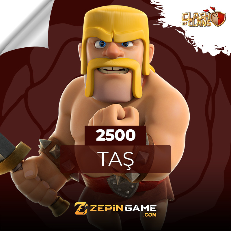 2500 TAŞ