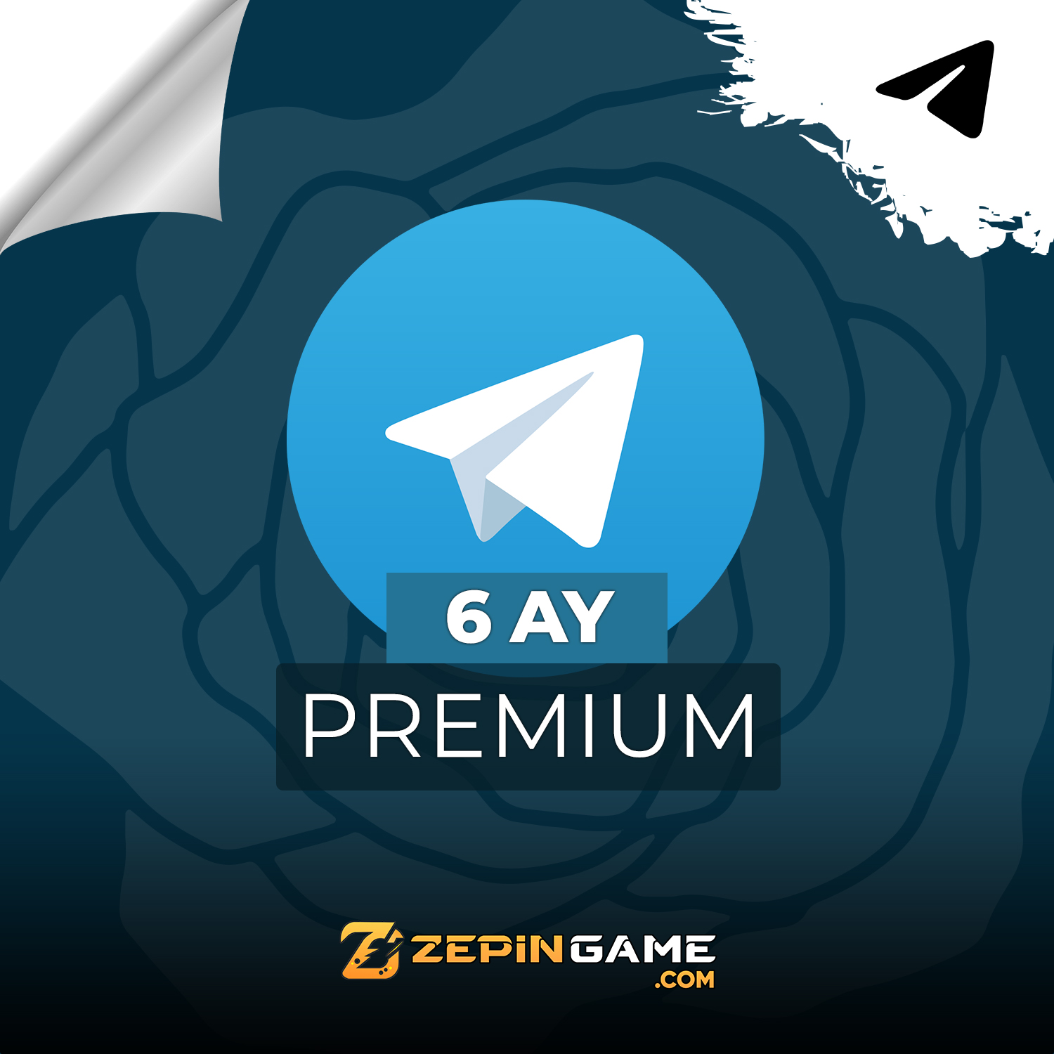 Premium 6 AY
