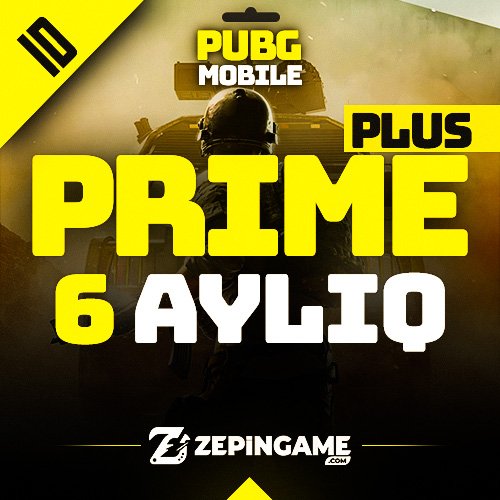Prime Plus (6 Ayliq)