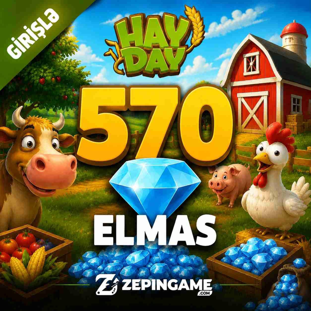 HayDay 570 Elmas